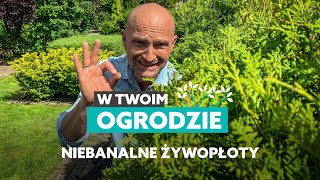 Niebanalne rośliny na żywopłot W Twoim ogrodzie [upl. by Eniamraj936]