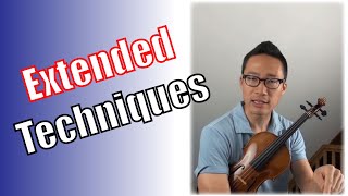 Contemporary Violin Techniques  Guide for Composers 12 [upl. by Ezequiel584]