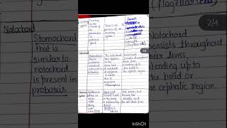 protochordata subphylum hemichordata cephalochordata urochordata comparison microbiology [upl. by Edbert]