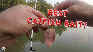 How To Catch Catfish From The Bank  Catfishing Bait Rigs amp Tips [upl. by Chelsae]