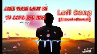 Jane Wale Laut Ke Tu Aaya Kyu Nahi।। 😔 Sad Song SlowedReveab।। Lofi Song 💔🥀।।Ghost Rider 1M [upl. by Perri]