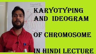 karyotyping and idogram of chromsome chromosomebanding [upl. by Oir]