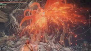 How to dodge Malenia’s Scarlet Aeonia Dive Bomb [upl. by Atiragram]