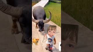 Beba me lop e me qen hahah funny kids bebamelop bebameqen [upl. by Enoval999]