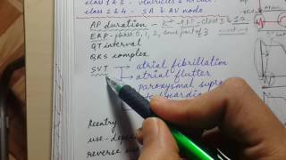 ANTIARRHYTHMIC DRUGS class 1 and class 3  USMLE STEP 1 CARDIAC PHARMACOLOGY [upl. by Mihalco]