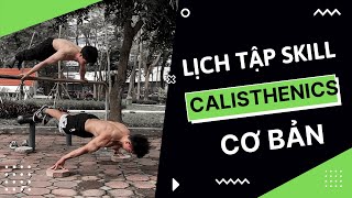 Lên lịch tập skill Calisthenics cơ bản cho người mới  CALIS101 [upl. by Aisatsan]