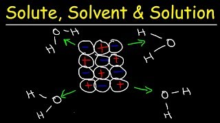 Solute Solvent amp Solution  Solubility Chemistry [upl. by Star373]