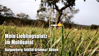 Mein Lieblingsplatz im Muldental  Galgenberg Grimma Döben [upl. by Katya]