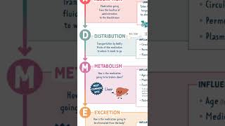 Pharmacokinetics pharmacology pharmacologyshorthealthcare [upl. by Trebbor514]