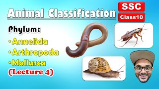 Animal Classification Lecture 4  Annelida Arthropoda Mollusca  Class 10  SSC  state board [upl. by Ailero946]