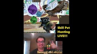 Runescape Double XP Skill Pet Hunting Part 2 runescape deoxyslinklobster [upl. by Nawiat]