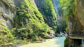 Spectacular Aareschlucht Aare Gorge in Switzerland 🇨🇭 [upl. by Gard283]