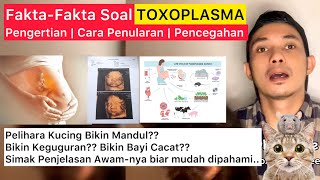 TOXOPLASMA KUCING  Penjelasan komplit soal toxoplasma atau penyakit toxo [upl. by Cleland578]