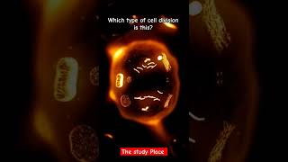 Which type of cell division is this shorts viral science [upl. by Ahsikahs]