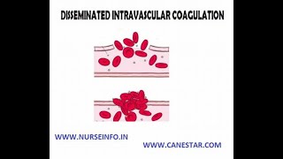 Mechanism of Blood coagulation Anticoagulants and procoagulants [upl. by Aisnetroh136]