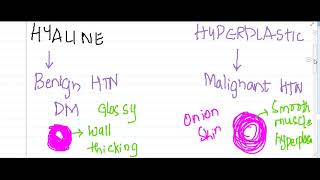 hyperplastic and hyaline arteriosclerosis  Pathology [upl. by Wylie296]