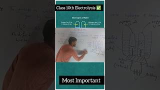 Electrolysis of Water class 10th ✅ Why Hydrogen Formed at Cathode🤔shorts short class10 [upl. by Anaehr]