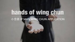 HANDS OF WING CHUN [upl. by Alyehs]