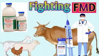 FMD Vaccination UPLODE Kese Kare  FMD Vaccination 2024  Bharat Pashudhan App par FMD VACCINATION [upl. by Beghtol]