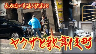 【ヤクザと歌舞伎町】暴力団が蔓延る歓楽街 東京都新宿区 Kabukicho An entertainment district where the Yakuza live Tokyo [upl. by Jeffries]