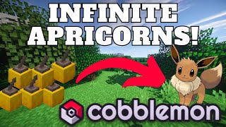 How To Build A SIMPLE Automatic Apricorn Farm In Cobblemon The Cobblemon Survival Guide Ep 4 [upl. by Regen]