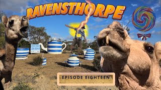 S1 E18 Zapped at Ravensthorpe Camel [upl. by Naimaj16]