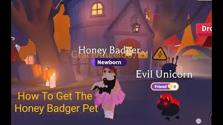 Adopt Me Update New UGC Pet Honey Badger amp Halloween Building [upl. by Ijnek]