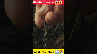 Unlock the POWER of Rhodium Seeds shorts [upl. by Natsyrt326]