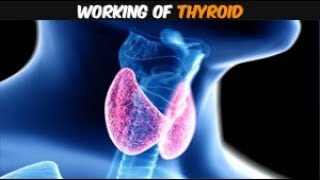 Thyroid gland do you really understand it [upl. by Anividul]