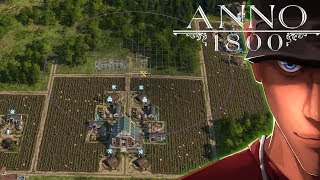 Anno 1800 Schnapps basic Layout from small to bigg and Bonus Schnapps and Worker Cloth Layout [upl. by Simpkins]