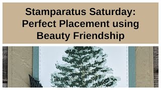 Beauty of Friendship  getting perfect placement with the Stamparatus [upl. by Hnid]