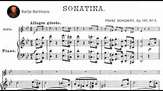 Franz Schubert  Violin Sonatina No 3 1816 [upl. by Mallissa165]