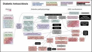 Diabetic ketoacidosis mechanism of disease [upl. by Maillil]