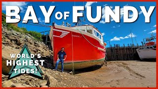 🍁😲 Bay of Fundy Tides are INCREDIBLE Where to See Worlds Highest Tides  Newstates eh 🍁 Ep 10 [upl. by Annet]