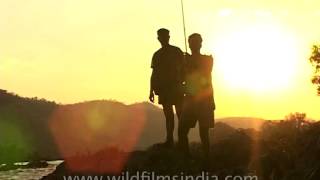 Indian salmon or mahseer fishing in the Kabini River Karnataka [upl. by Nodmac]