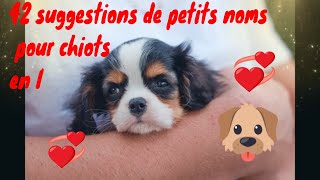 ❤🐶🐺 42 suggestions de petits noms pour chiots en I [upl. by Eceeryt18]