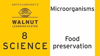 8 Science  Microorganisms  Food preservation [upl. by Enilraep]