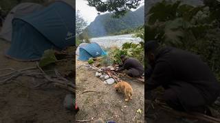 Acampamento selvagem na Carretera Austral  Chile [upl. by Nodnrb363]