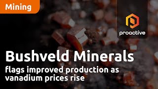 Bushveld Minerals flags improved production as vanadium prices rise [upl. by Asimaj]