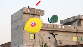 Kite Flying With Beautiful Peacock 🦚 Nasir Catch [upl. by Storfer]