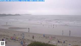 Steve Seabury Higgins Beach Properties Live Webcam [upl. by Evelin]