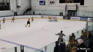 Live streaming of Mankato Peewee A 2024 [upl. by Siugram]