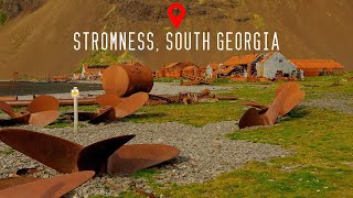 Stromness South Georgia 4K [upl. by Horgan]