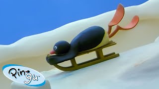 Pingu Toboganning 🐧  Pingu  Official Channel  Cartoons For Kids [upl. by Besnard]