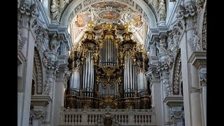 Orgel Dom zu Passau [upl. by Ellehc]