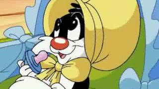 Abertura  Baby Looney Tunes [upl. by Nylinej]