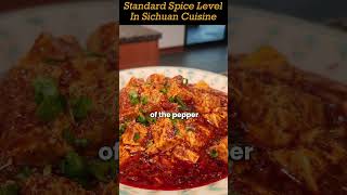 5 Sichuan Dishes That Will BLOW Your Mind with Standard Spice Level [upl. by Deuno12]