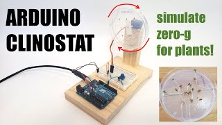 Build an Arduino Clinostat to Simulate Microgravity for Plants  Science Project [upl. by Shane]