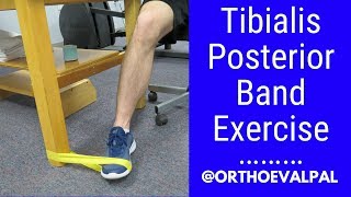 Tibialis Posterior strengthening exercise with a band [upl. by Alberto6]