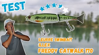 TEST Leurre Swimbait Illex Freddy Catwalk 170 [upl. by Manvil468]